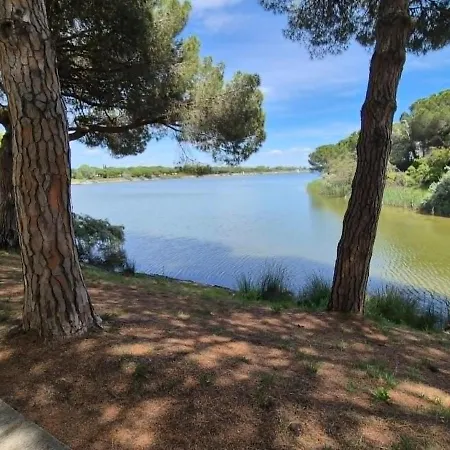 Appartement Chic Pres Du Golf, Clim, Wifi, Parking *
