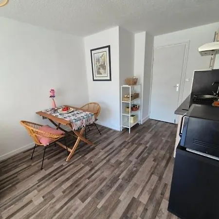 Apartment Chic Pres Du Golf, Clim, Wifi, Parking